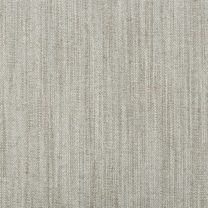 Kravet Fabric Carbon Texture Cloud