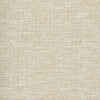Kravet Fabric 35518-106