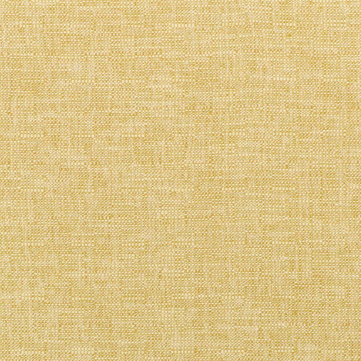 35518-14 by Kravet Smart Designer Fabric INSIDE OUT PERFORMANCE FABRICS POLYESTER - 73%;OLEFIN - 27% United States HEAVY Horizontal: 2.25 and Vertical: 2.25 55 - Swanky Fabrics -