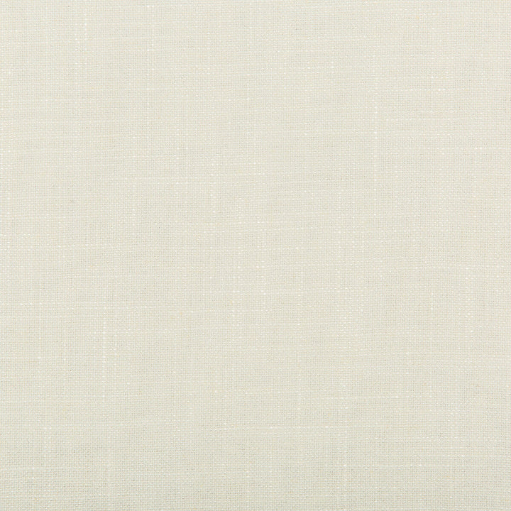 Aura Lace by Kravet Design Designer Fabric VISCOSE - 67%;LINEN - 33% Italy HEAVY Horizontal: 0 and Vertical: 0 55.12 - Swanky Fabrics -