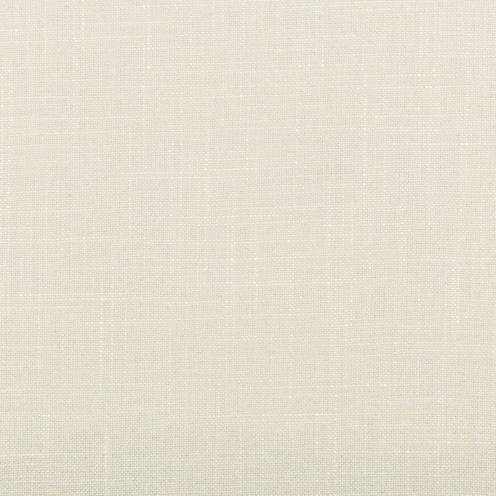 Aura Lace by Kravet Design Designer Fabric VISCOSE - 67%;LINEN - 33% Italy HEAVY Horizontal: 0 and Vertical: 0 55.12 - Swanky Fabrics -