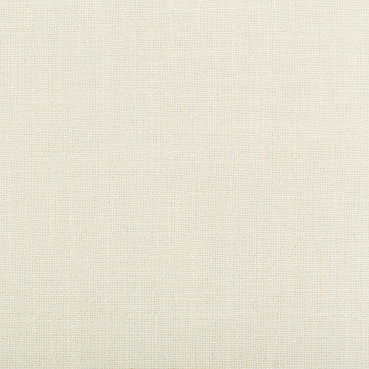 Aura Cloud by Kravet Design Designer Fabric VISCOSE - 67%;LINEN - 33% Italy HEAVY Horizontal: 0 and Vertical: 0 55.12 - Swanky Fabrics -