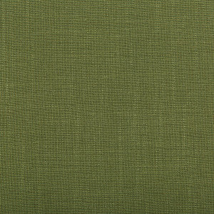 Kravet Fabric Aura Vine