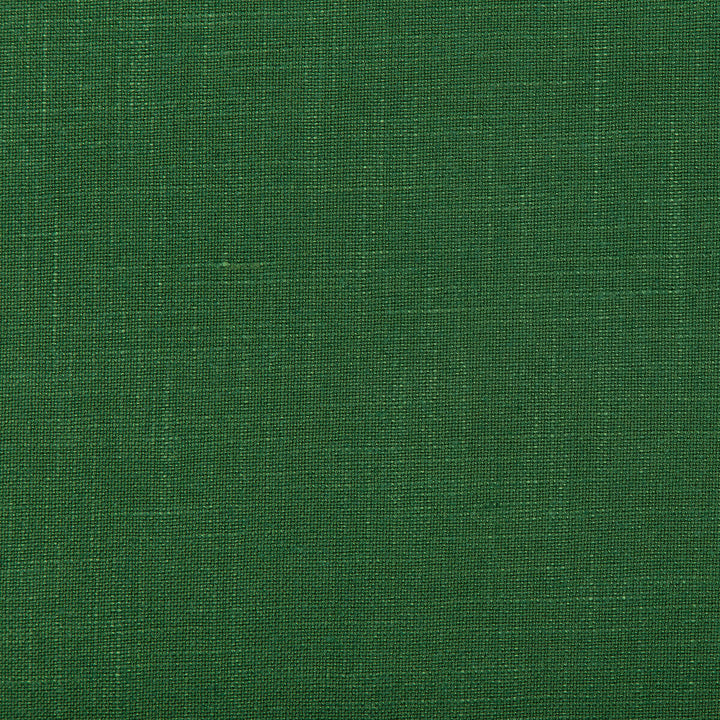 Aura Cilantro by Kravet Design Designer Fabric VISCOSE - 67%;LINEN - 33% Italy HEAVY Horizontal: 0 and Vertical: 0 55.12 - Swanky Fabrics -