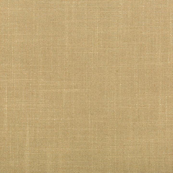 Aura Barley by Kravet Design Designer Fabric VISCOSE - 67%;LINEN - 33% Italy HEAVY Horizontal: 0 and Vertical: 0 55.12 - Swanky Fabrics -