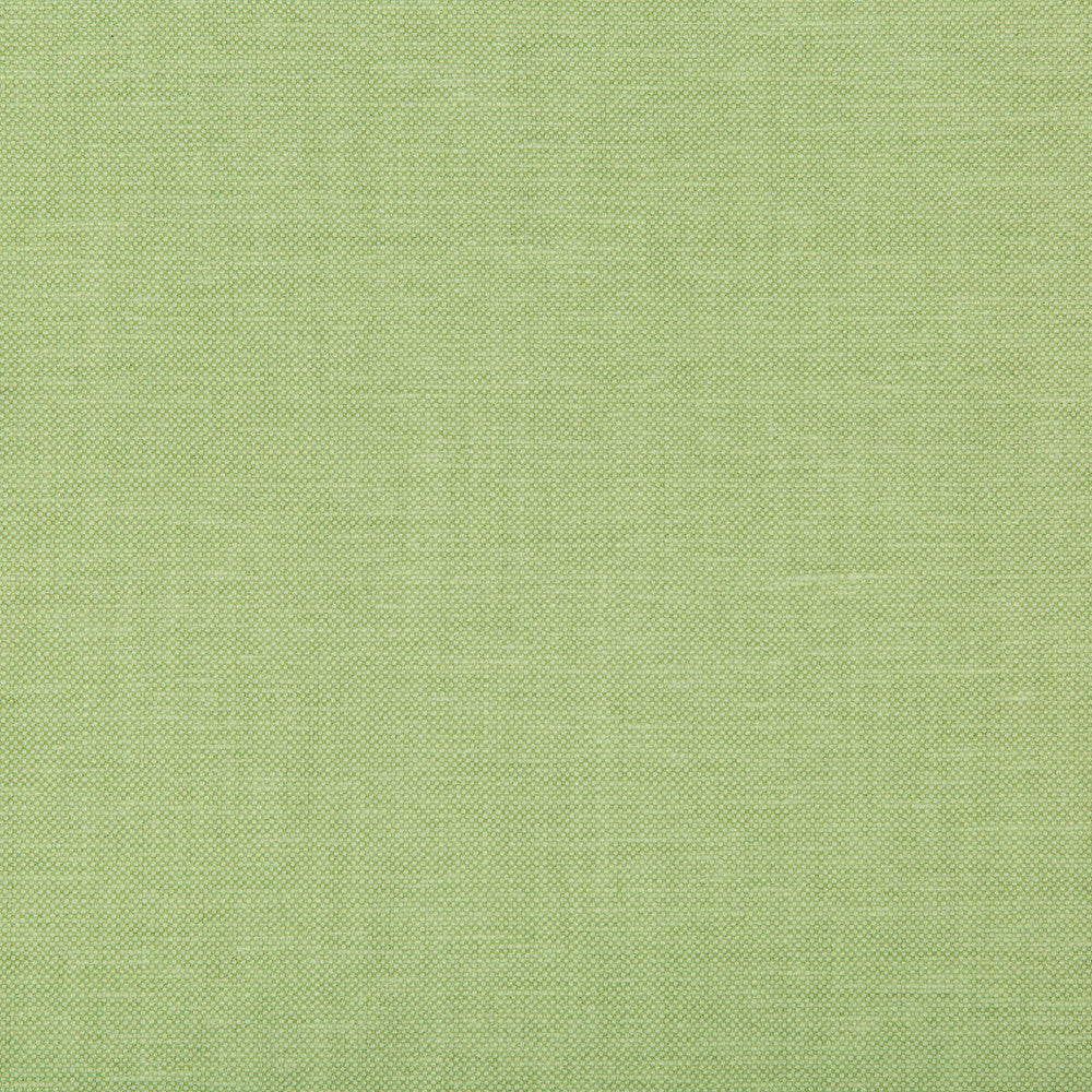 Oxfordian Leaf by Kravet Basics Designer Fabric BERMUDA COTTON - 77%;POLYESTER - 23% India MEDIUM Horizontal: - and Vertical: - 54 - Swanky Fabrics -
