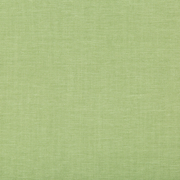 Oxfordian Leaf by Kravet Basics Designer Fabric BERMUDA COTTON - 77%;POLYESTER - 23% India MEDIUM Horizontal: and Vertical: 54 - Swanky Fabrics -