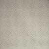 Kravet Fabric Iguazu Camel