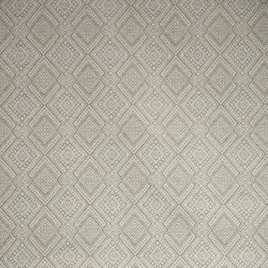 Kravet Fabric Iguazu Camel