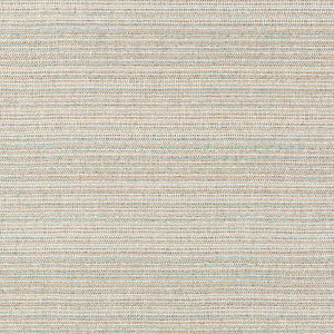 Kravet Fabric Halau Dune