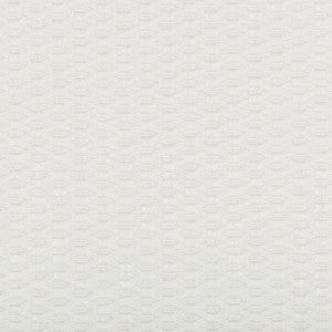 Kravet Fabric 35583-101