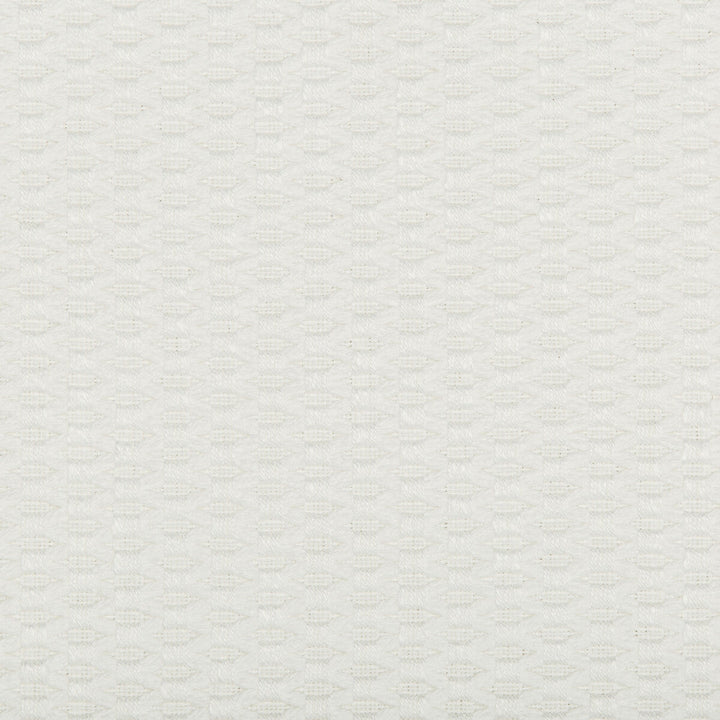 35583-101 by Kravet Design Designer Fabric COTTON - 52%;POLYESTER - 48% United States HEAVY Horizontal: and Vertical: 56.5 - Swanky Fabrics -