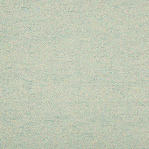 Kravet Fabric 35595-13