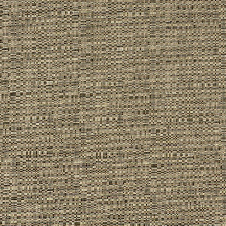 3562 Rosemary by Charlotte Designer Fabric Decorative Durables XII 67% Olefin, 33% Polyester Made In USA Exceeds 150,000 Wyzenbeek Rubs (Heavy Duty) No Repeat 54 Inches - Swanky Fabrics -