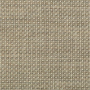 Kravet Fabric 35642-1611