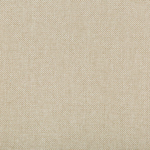 Kravet Fabric Williams Coconut
