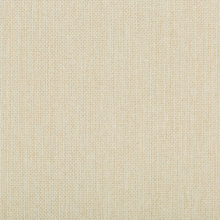 Williams Sea Salt by Kravet Contract Designer Fabric VALUE KRAVETARMOR POLYESTER - 60%;OLEFIN - 40% United States HEAVY Horizontal: 0 and Vertical: 0 56 - Swanky Fabrics -