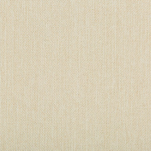 Kravet Fabric Williams Sea Salt