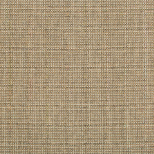 Kravet Fabric Burr Flax
