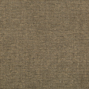 Kravet Fabric Burr Pecan