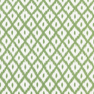 Kravet Fabric Pitigala Green