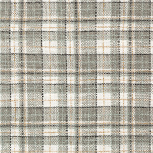 Kravet Fabric Pallepola Smoke