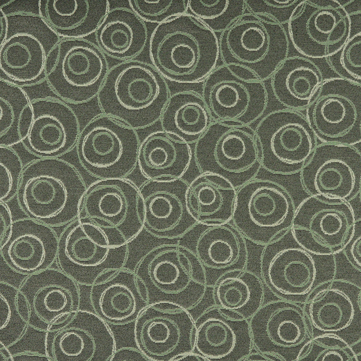 3579 Cypress by Charlotte Designer Fabric Decorative Durables XII 100% Woven Polyester Made In USA Exceeds 150,000 Wyzenbeek Rubs (Heavy Duty) Horizontal: 14" x Vertical: 14" 54 Inches - Swanky Fabrics -