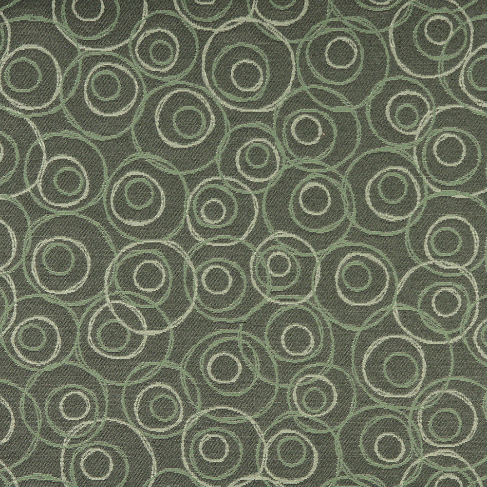 3579 Cypress by Charlotte Designer Fabric Decorative Durables XII 100% Woven Polyester Made In USA Exceeds 150,000 Wyzenbeek Rubs (Heavy Duty) Horizontal: 14" x Vertical: 14" 54 Inches - Swanky Fabrics -