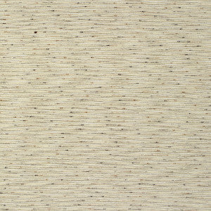 Kravet Fabric Ischia Canyon