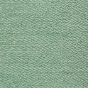 Kravet Fabric Basslet Aloe