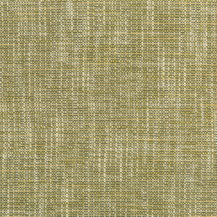 River Park Meadow by Kravet Contract Designer Fabric GIS CRYPTON POLYESTER - 94%;RECYCLED POLYESTER - 6% United States HEAVY Horizontal: - and Vertical: - 55 - Swanky Fabrics -