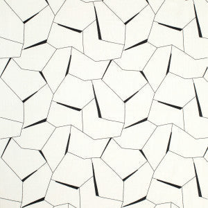 Kravet Fabric Diverging Ebony