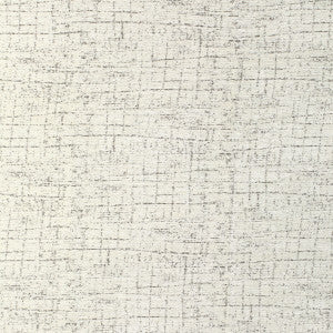 Kravet Fabric Warp Weft Powder