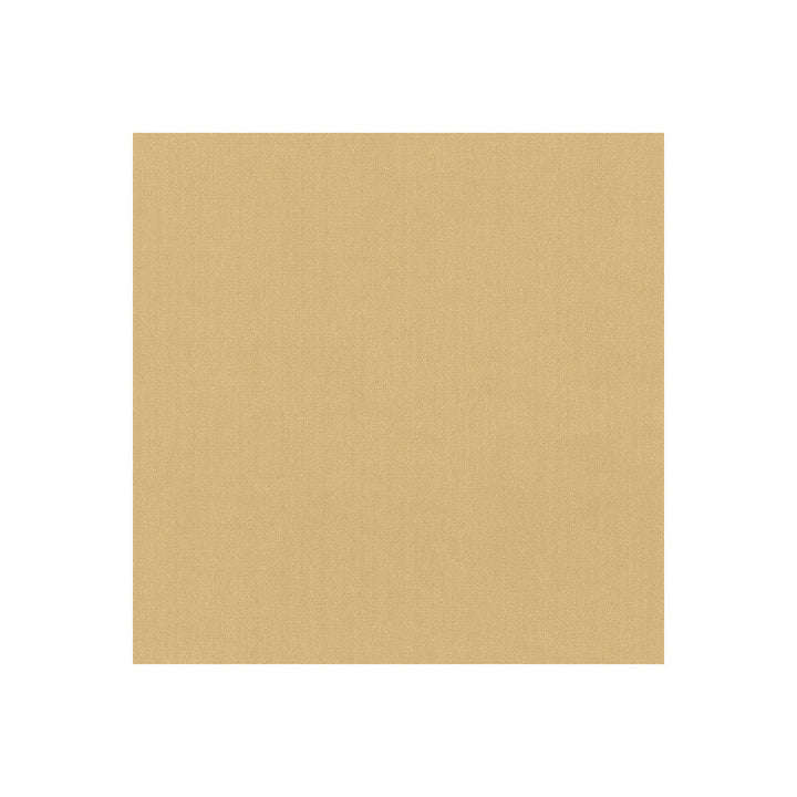 35916-44 by Kravet Basics Designer Fabric - POLYESTER FR - 100% India HEAVY Horizontal: 0 and Vertical: 0 54 - Swanky Fabrics -