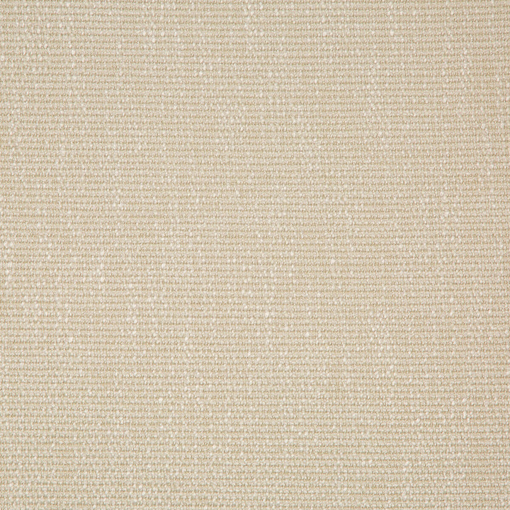 35943-116 by Kravet Smart Designer Fabric PERFORMANCE KRAVETARMOR POLYESTER - 45%;VISCOSE - 37%;COTTON - 18% India HEAVY Horizontal: 0 and Vertical: 0 54 - Swanky Fabrics -