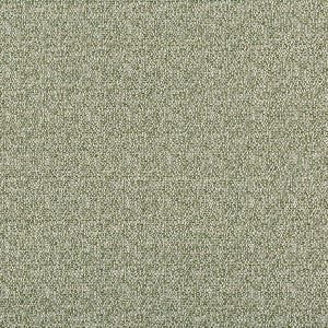 Kravet Fabric 35971-311