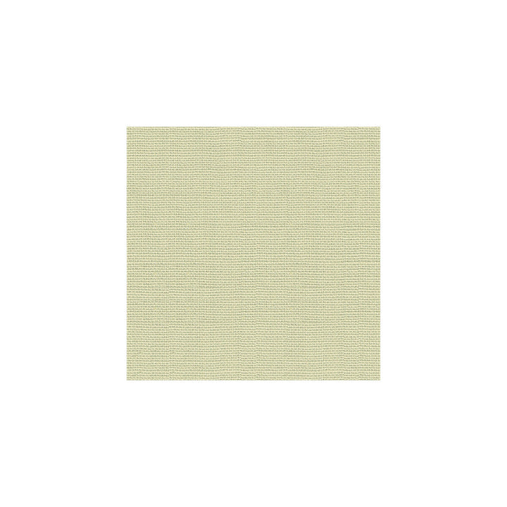 Crissie Linen by Kravet Design Designer Fabric BARRY LANTZ CANVAS TO CLOTH LINEN - 100% Brazil LIGHT Horizontal: 0 and Vertical: 0 54 - Swanky Fabrics -