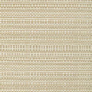 Kravet Fabric 35993-16