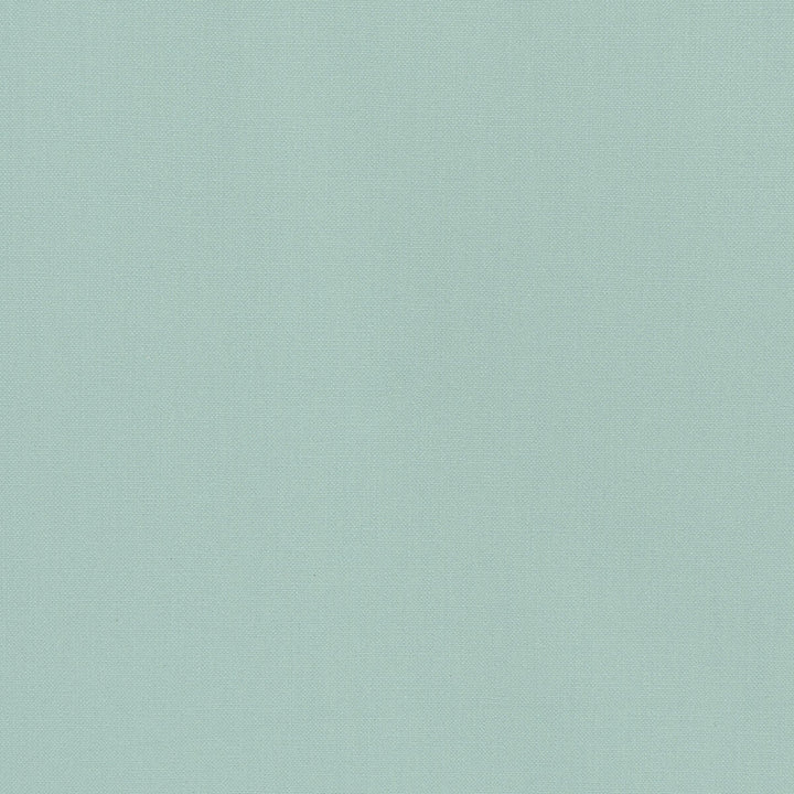 36055-135 by Kravet Basics Designer Fabric L'INDIENNE COLLECTION COTTON - 100% India HEAVY Horizontal: and Vertical: 54 - Swanky Fabrics -