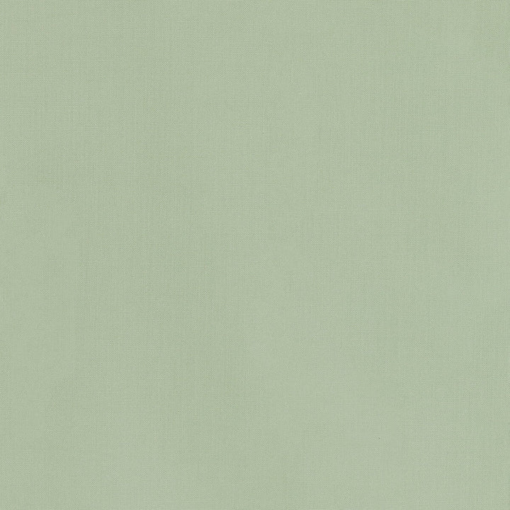 36055-30 by Kravet Basics Designer Fabric L'INDIENNE COLLECTION COTTON - 100% India HEAVY Horizontal: and Vertical: 54 - Swanky Fabrics -