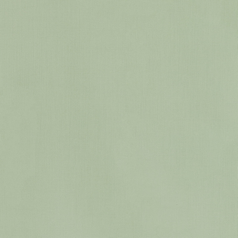 36055-30 by Kravet Basics Designer Fabric L'INDIENNE COLLECTION COTTON - 100% India HEAVY Horizontal: and Vertical: 54 - Swanky Fabrics -