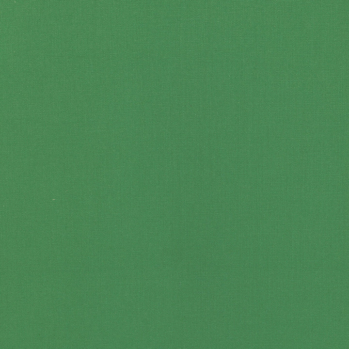 Kravet Basics 36055-3 by Kravet Basics Fabric Kravet Basics Fabric Kravet Basics 36055-3Fabric L'INDIENNE COLLECTION COTTON - 100% India </p><p>Repeat: H: , V: 54 - Fabric Carolina -