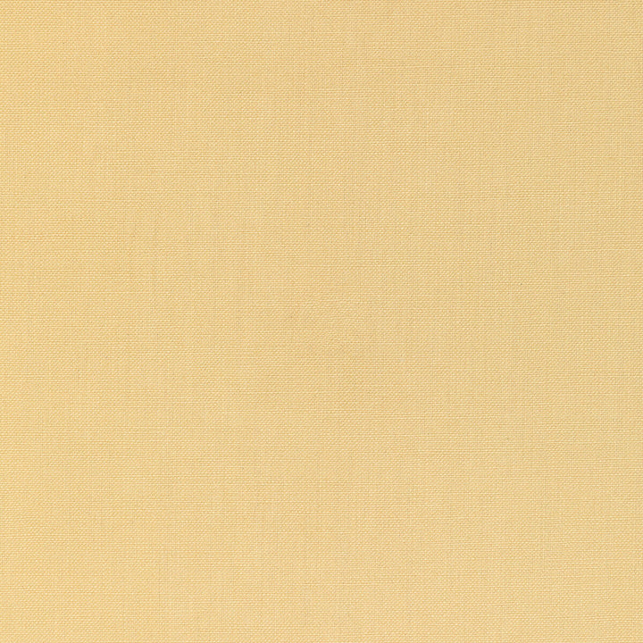 36055-40 by Kravet Basics Designer Fabric L'INDIENNE COLLECTION COTTON - 100% India HEAVY Horizontal: and Vertical: 54 - Swanky Fabrics -