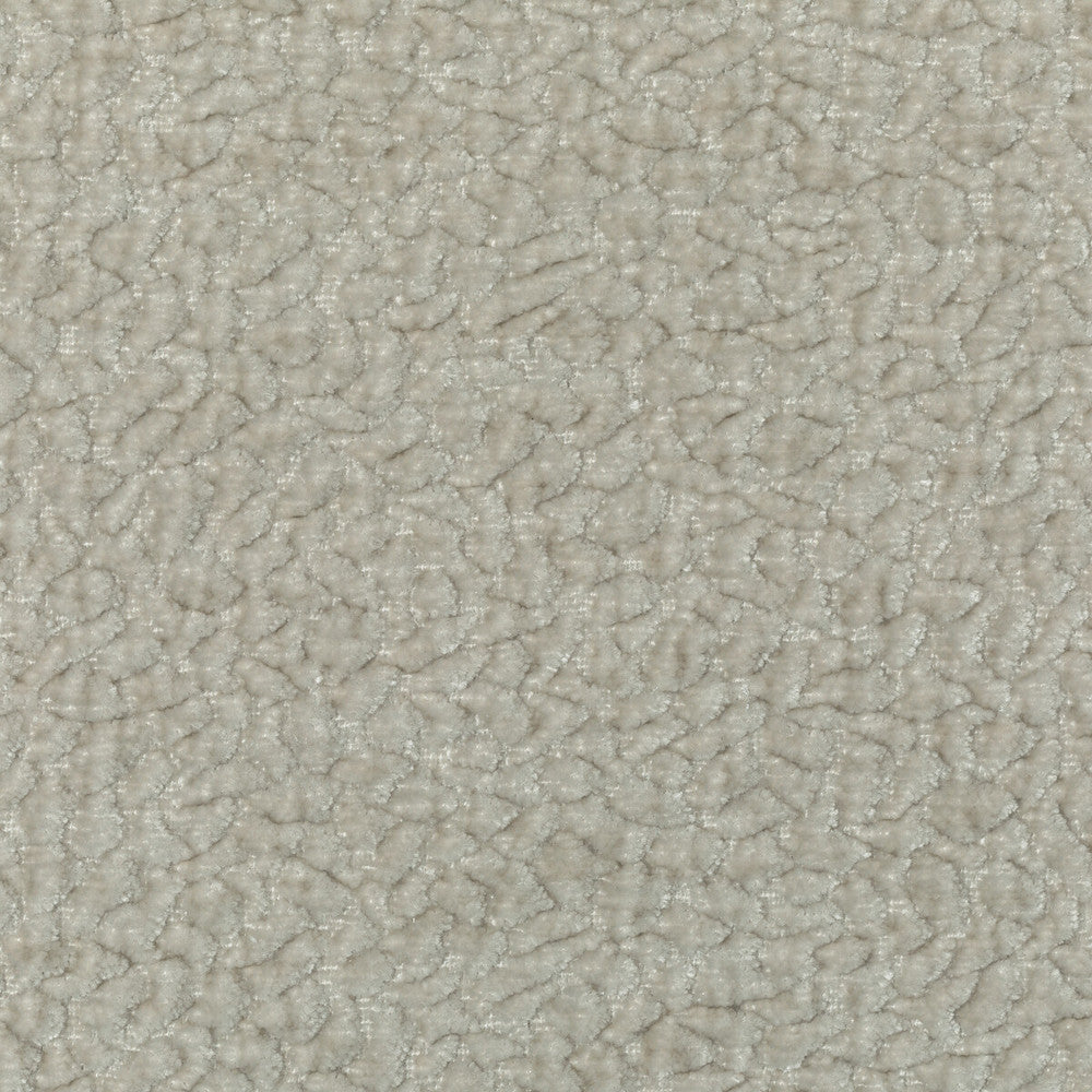 Barton Chenille Dove by Kravet Smart Designer Fabric POLYESTER - 100% India HEAVY Horizontal: 12 and Vertical: 4 54 - Swanky Fabrics -