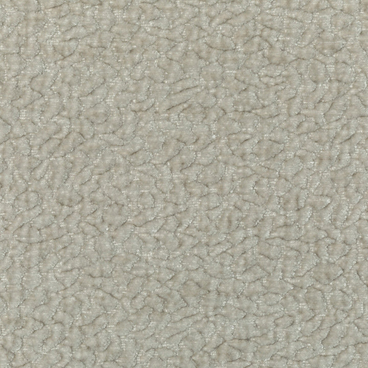 Barton Chenille Dove by Kravet Smart Fabric Kravet Smart Fabric Barton Chenille DoveFabric POLYESTER - 100% India </p><p>Repeat: H: 12, V: 4 54 - Fabric Carolina -