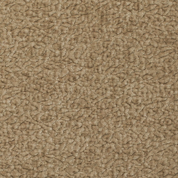 Barton Chenille Champagne by Kravet Smart Designer Fabric POLYESTER - 100% India HEAVY Horizontal: 12 and Vertical: 4 54 - Swanky Fabrics -