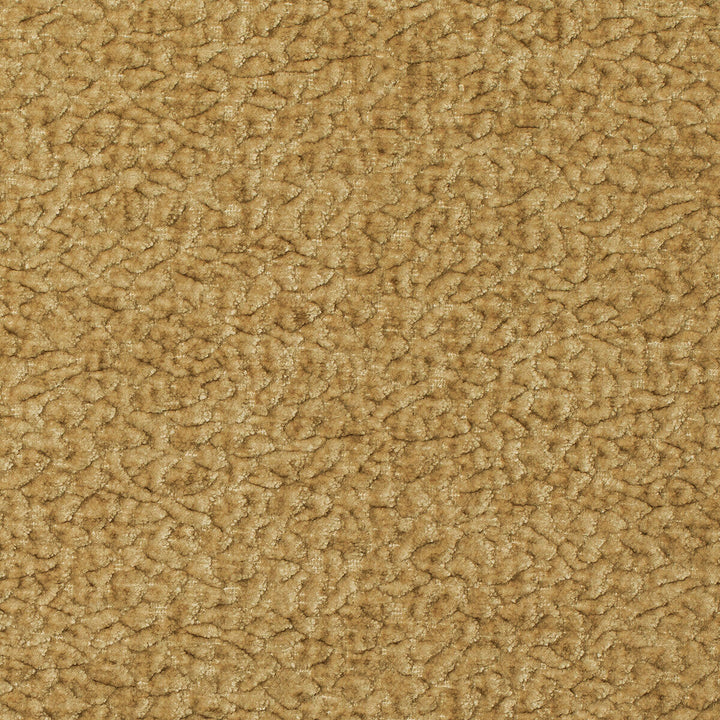 Barton Chenille Honey by Kravet Smart Designer Fabric POLYESTER - 100% India HEAVY Horizontal: 12 and Vertical: 4 54 - Swanky Fabrics -