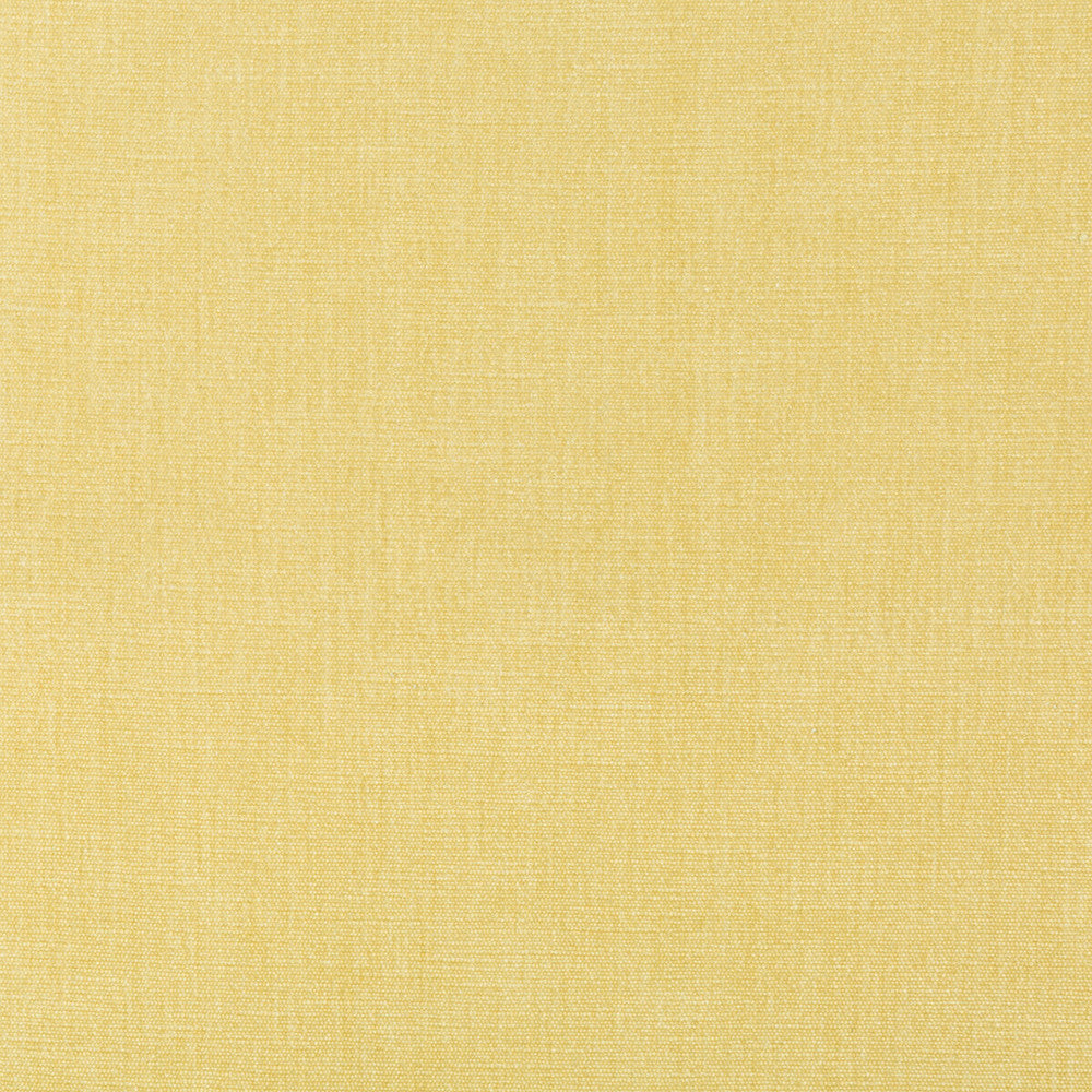 36076-1116 by Kravet Smart Designer Fabric PERFORMANCE KRAVETARMOR POLYESTER - 62%;COTTON - 38% India HEAVY Horizontal: 0 and Vertical: 0 54 - Swanky Fabrics -