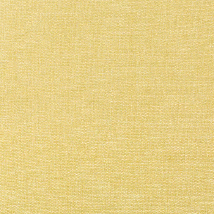 36076-1116 by Kravet Smart Designer Fabric PERFORMANCE KRAVETARMOR POLYESTER - 62%;COTTON - 38% India HEAVY Horizontal: 0 and Vertical: 0 54 - Swanky Fabrics -