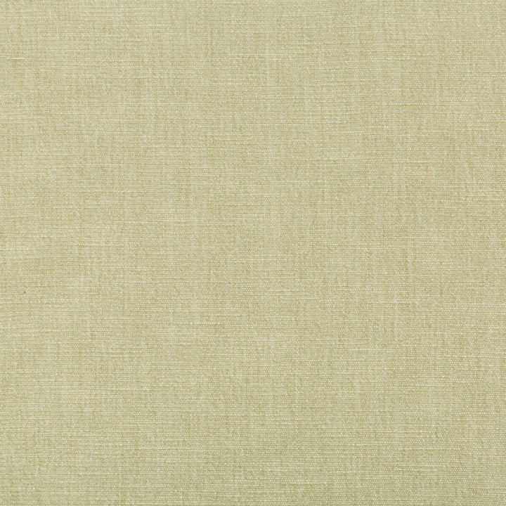 Kravet Smart 36076-1611 by Kravet Smart Fabric Kravet Smart Fabric Kravet Smart 36076-1611Fabric PERFORMANCE KRAVETARMOR POLYESTER - 62%;COTTON - 38% India </p><p>Repeat: H: 0, V: 0 54 - Fabric Carolina -